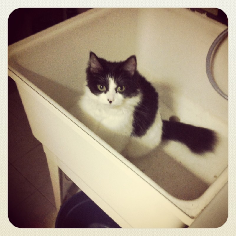 Gonna keep my butt in the sink for the next 2 weeks or so!